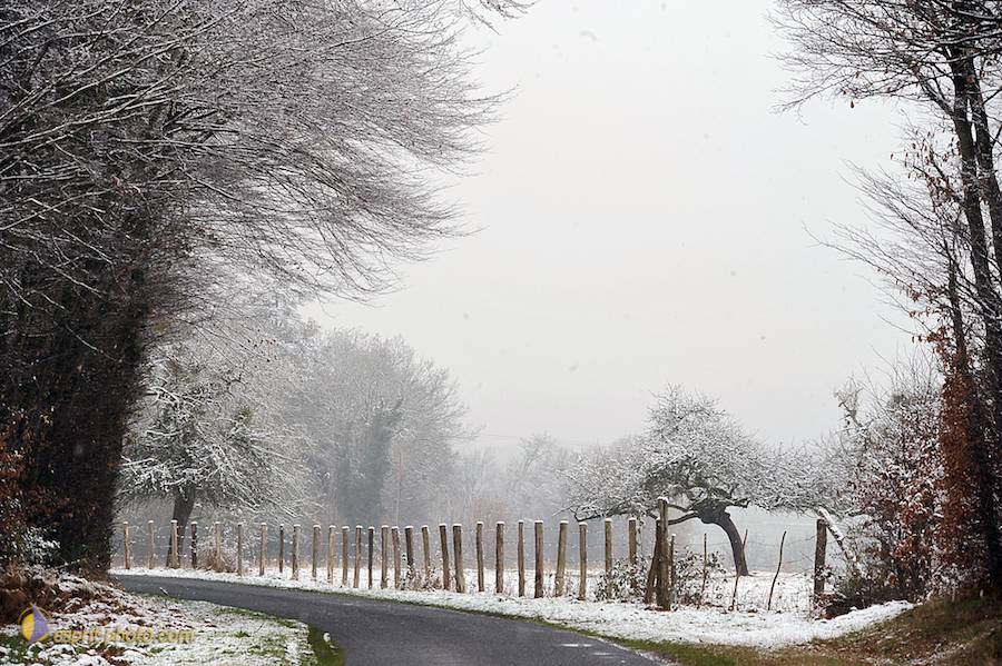 Nom de l'image : D30038069_1_(c)Norbert-JUNG — Description :